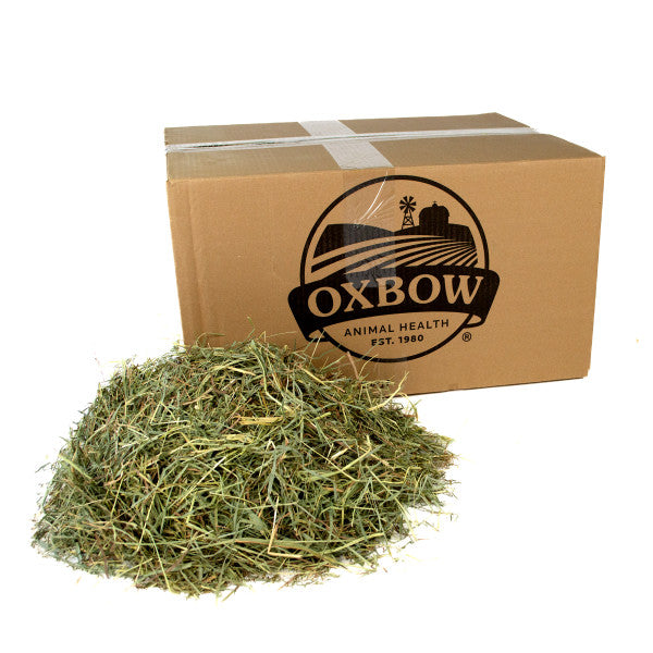 Oxbow Hay - Orchard Grass