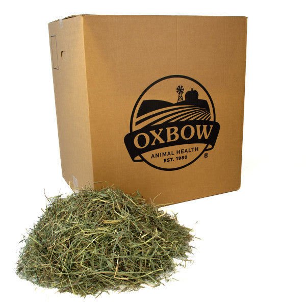 Oxbow Hay - Orchard Grass