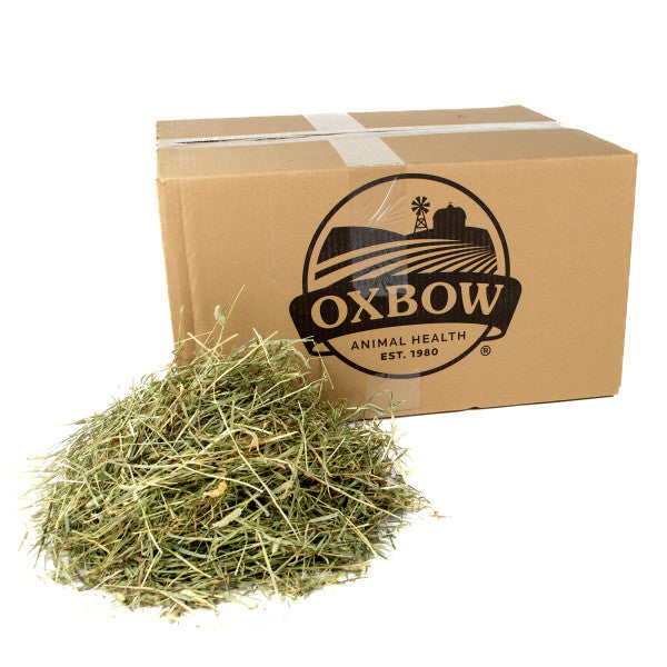 Oxbow Hay - Western Timothy
