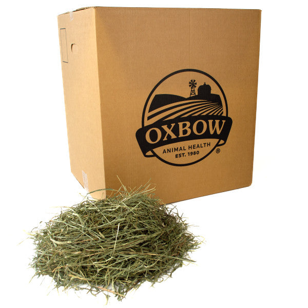 Oxbow Hay - Western Timothy