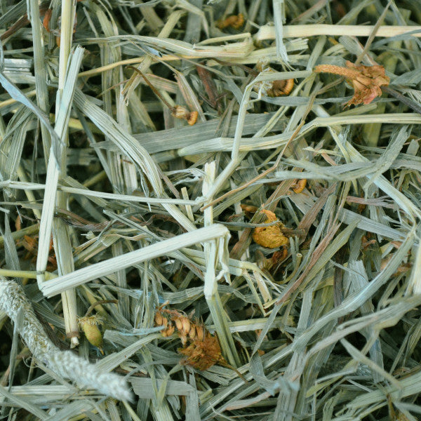 Oxbow Hay - Botanical 15oz