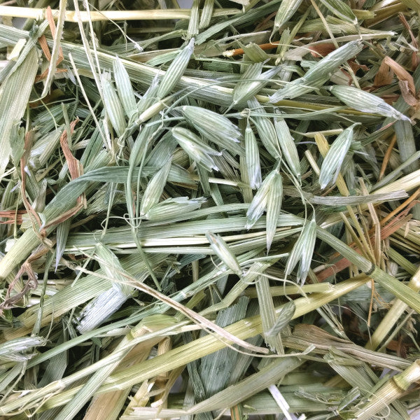 Oxbow Hay - Oat 15oz