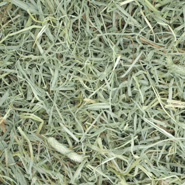 Oxbow Hay - Prime Cut Soft & Lush Timothy
