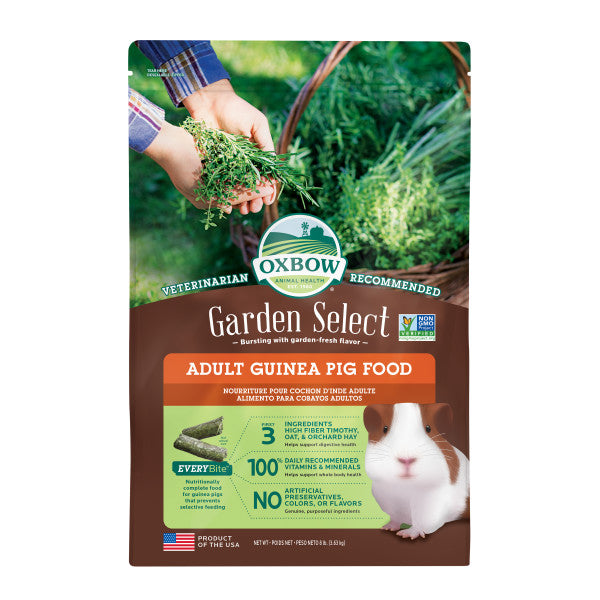Fresh guinea pig sales food