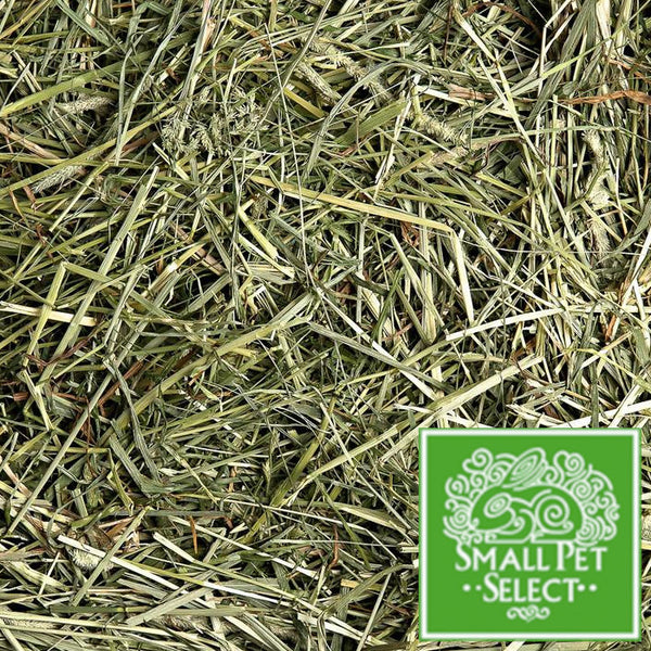 SPS 1st Cutting Timothy Hay