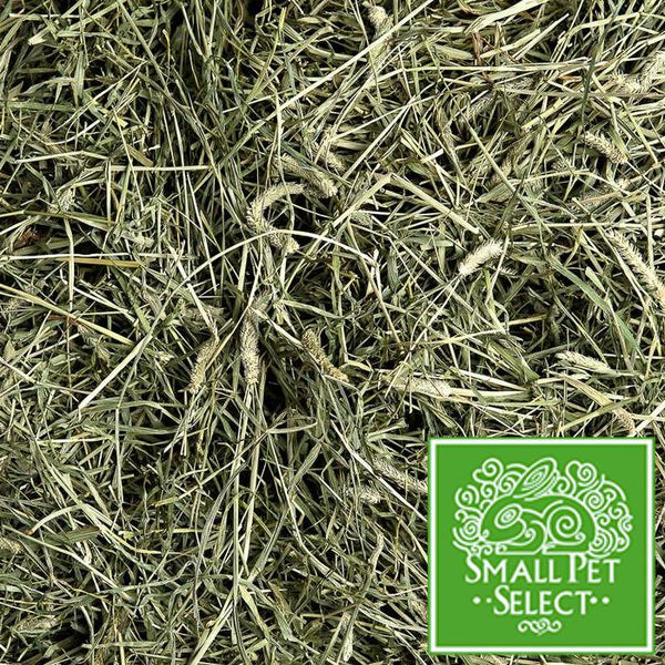 SPS 2nd Cutting Timothy Hay