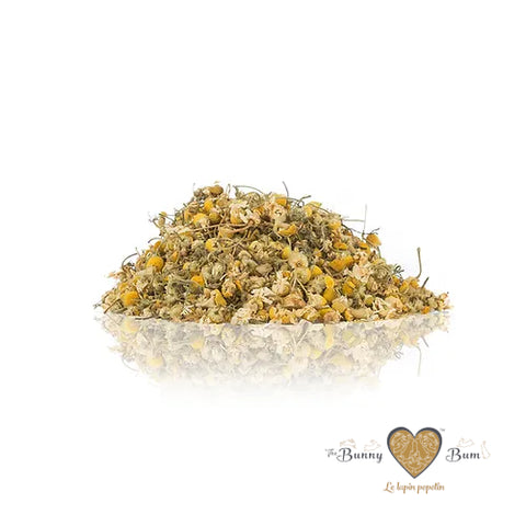 Bunny Bum Chamomile