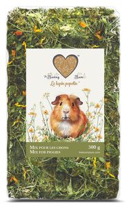 Bunny Bum Guinea Pig Mix