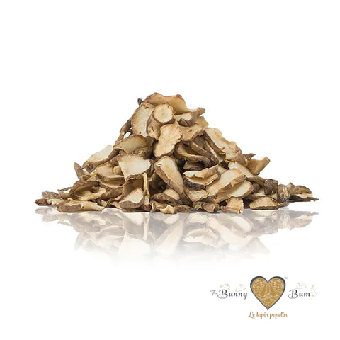 Bunny Bum Jerusalem Artichoke Root