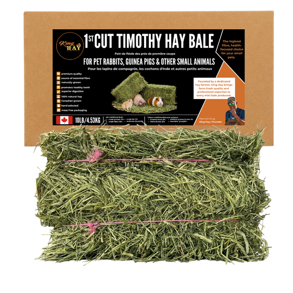 King Hay - Premium 1st Cut