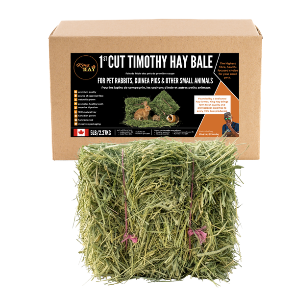King Hay - Premium 1st Cut