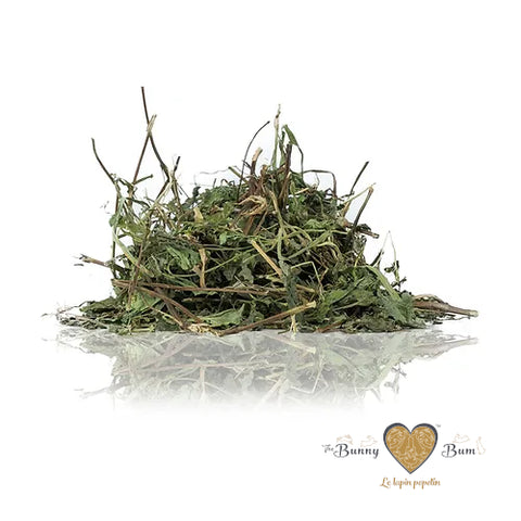 Bunny Bum Lemon Balm