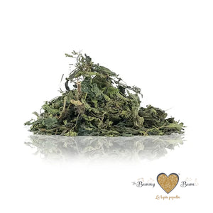 Bunny Bum Nettle