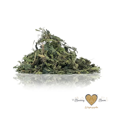 Bunny Bum Nettle