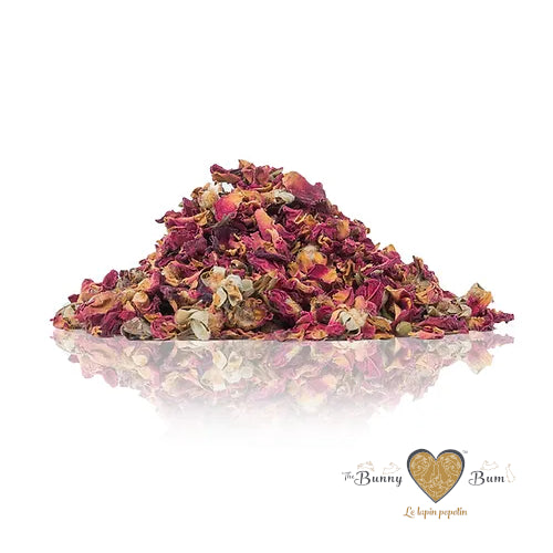 Bunny Bum Rose Petal