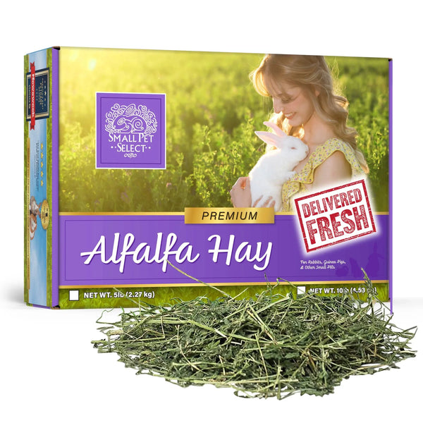 SPS Alfalfa