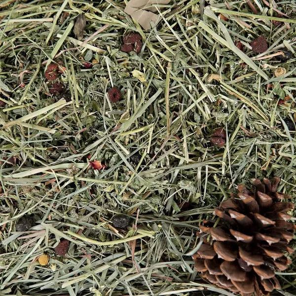 SPS Gourmet Hay