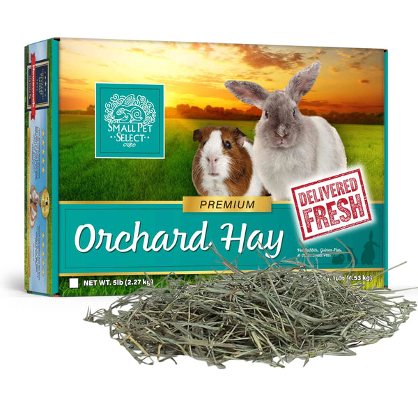 SPS Orchard Grass