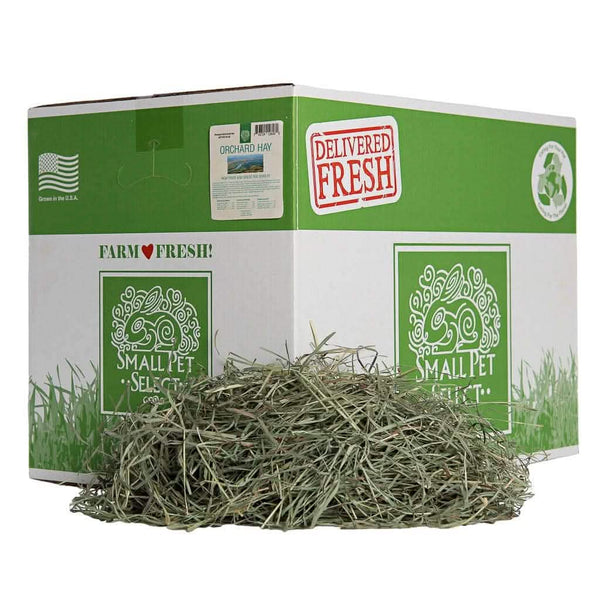 SPS Orchard Grass
