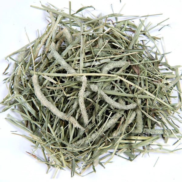 SPS 1st Cutting Timothy Hay