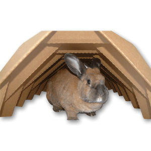 Tunnel Haven
