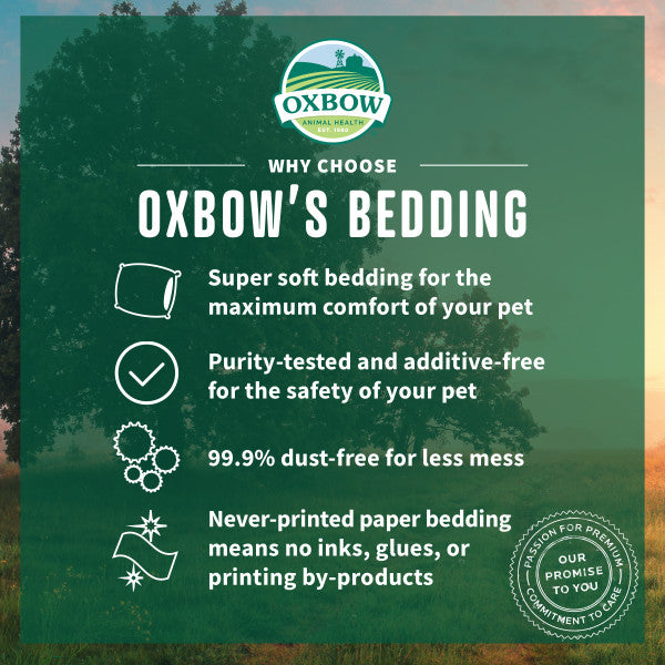 Oxbow Pure Comfort Bedding White