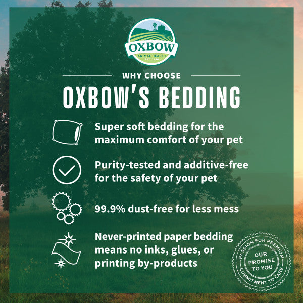 Oxbow Pure Comfort Bedding Natural