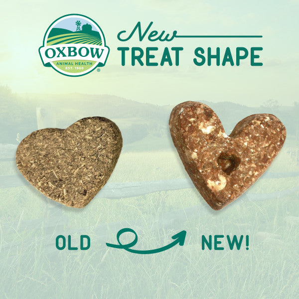Oxbow Organic Rewards Barley Biscuits 2.65 oz
