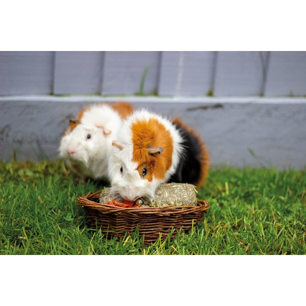 Rosewood Willow Treat Basket