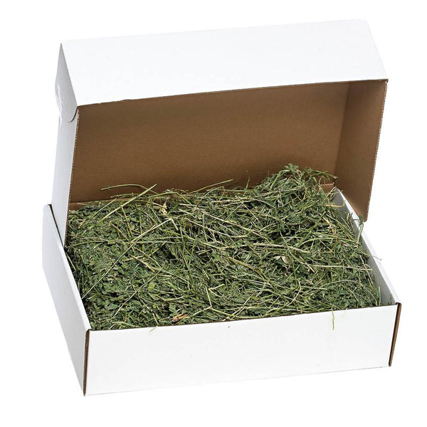 SPS Alfalfa