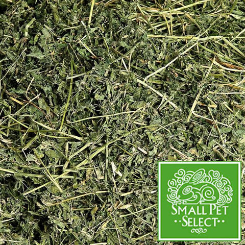 SPS Alfalfa