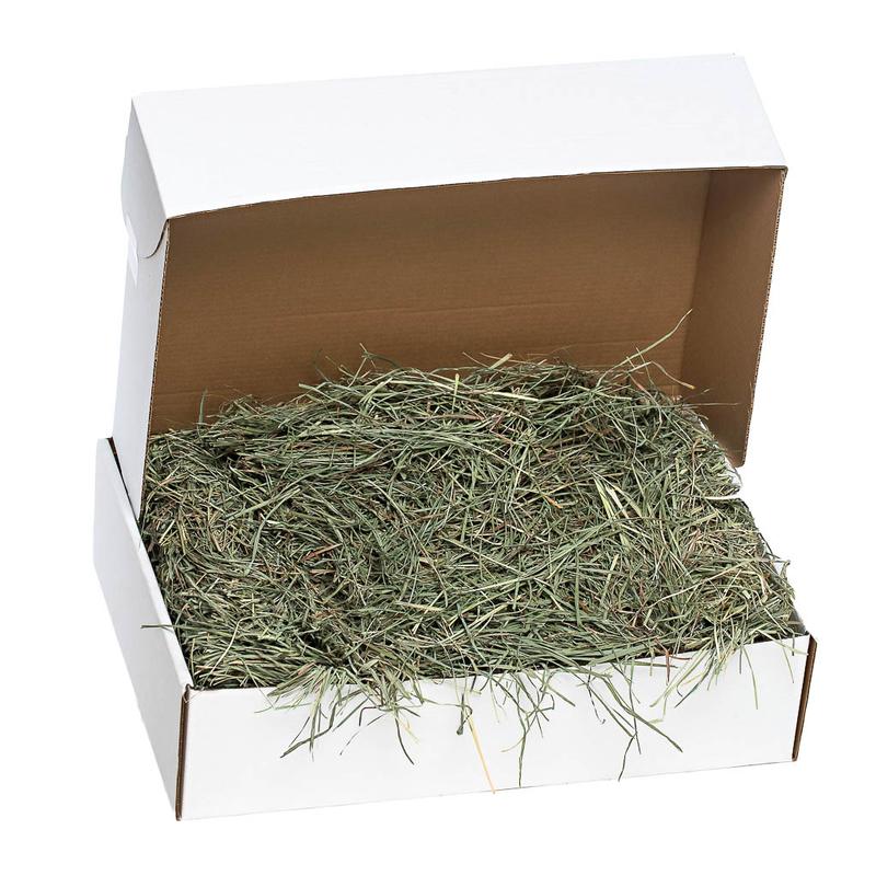 SPS Orchard Grass
