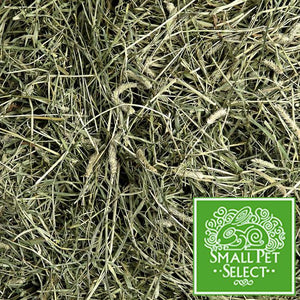 SPS 2nd Cutting Timothy Hay