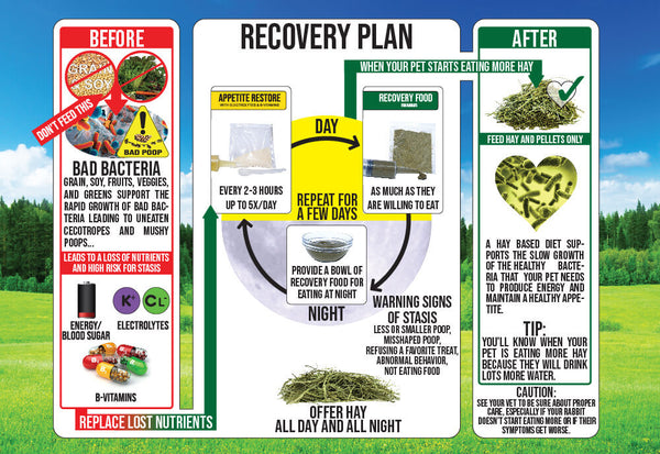 Sherwood SARx Timothy Recovery Rabbit