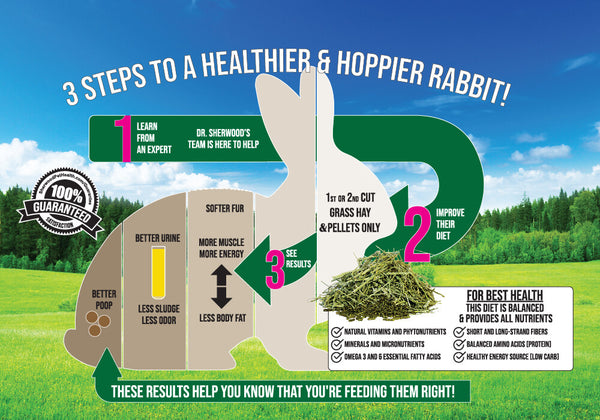 Sherwood Adult Rabbit Timothy Measured